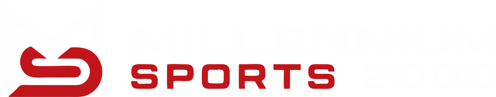 Millennium Sports 2000